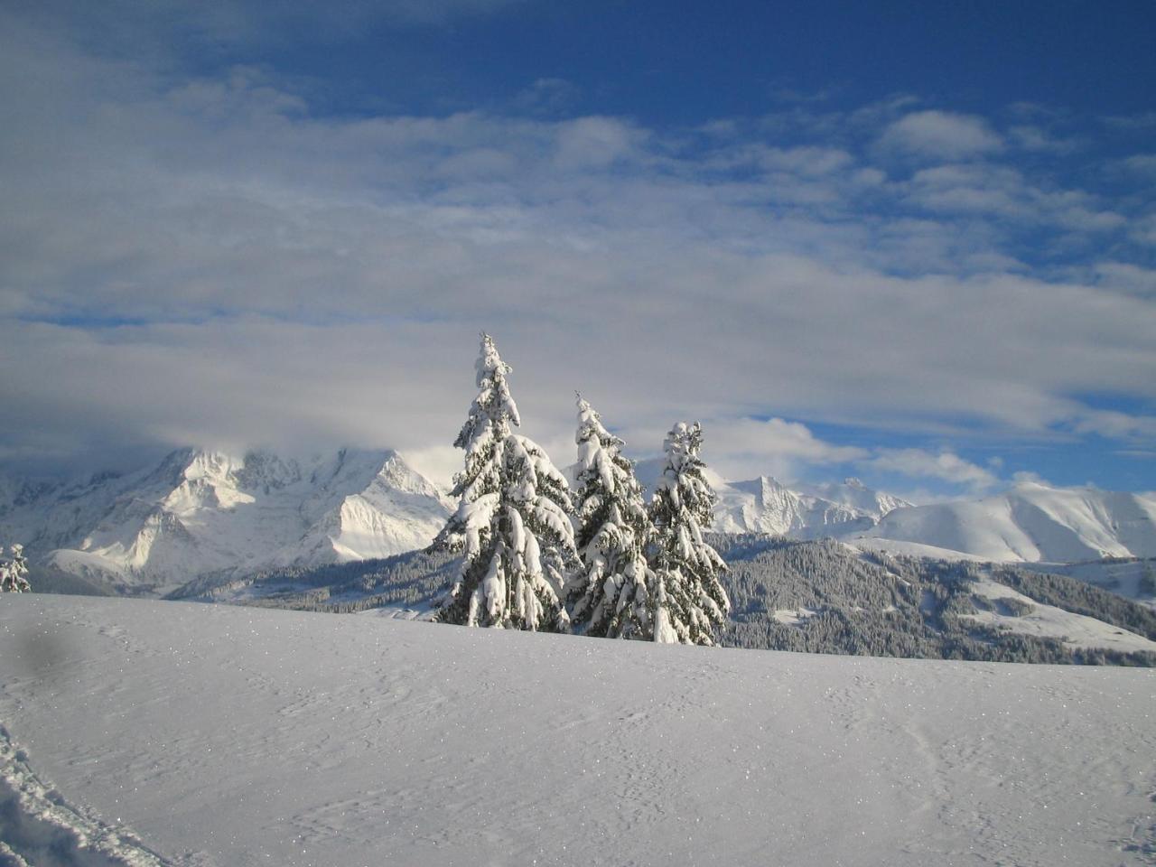 Alp-Hotel Megeve Exterior photo